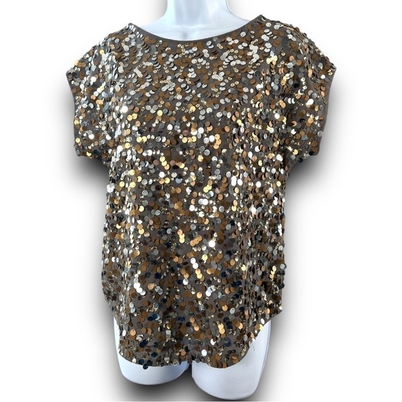 THE Limited Gold Silver Bronze Sequin Short Sleeve Gray Top Size XS - Picture 13 of 13